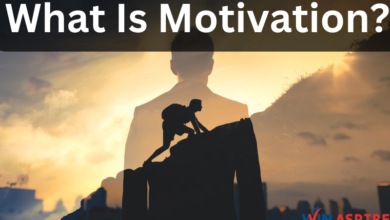 What Is Motivation?