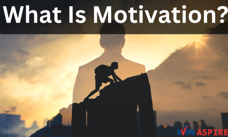 What Is Motivation?