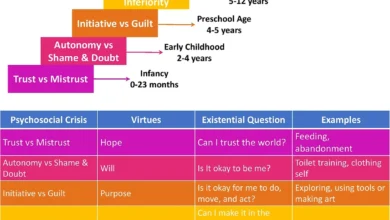 Erikson's Stages of Development