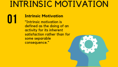 What Is Intrinsic Motivation?