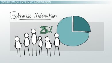 What Is Extrinsic Motivation